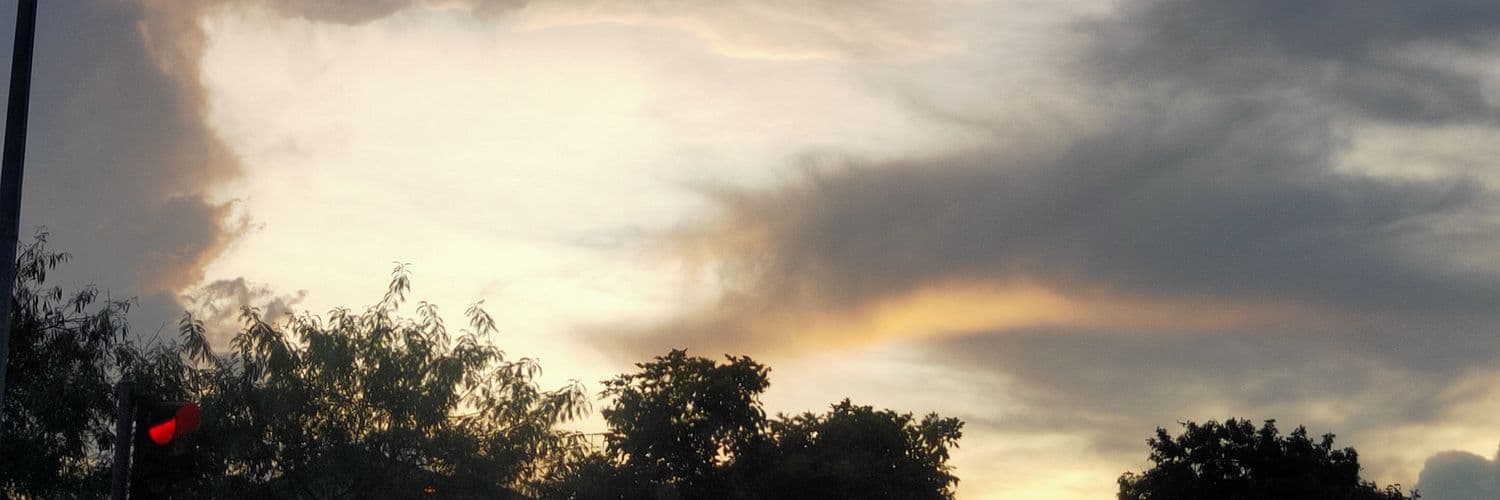 User profile banner