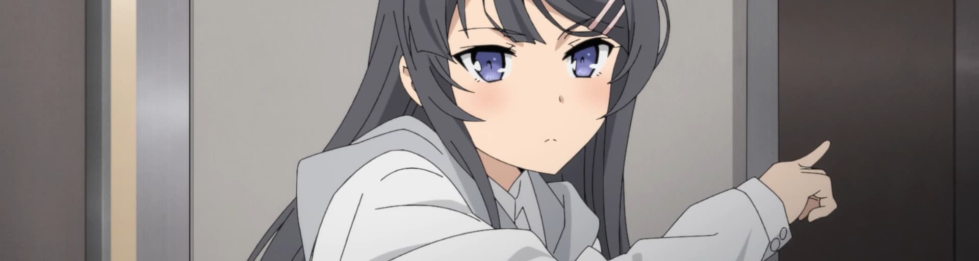 User profile banner