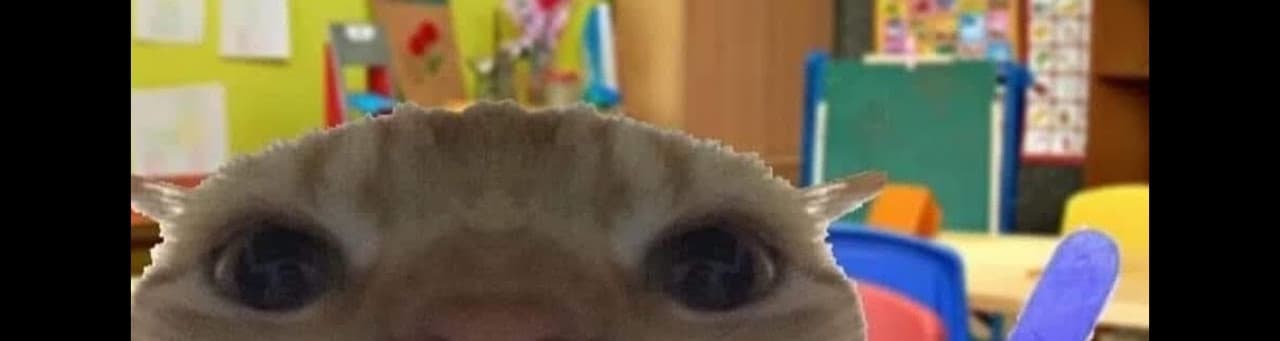 User profile banner