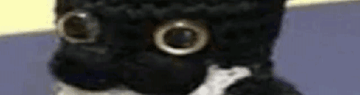 User profile banner