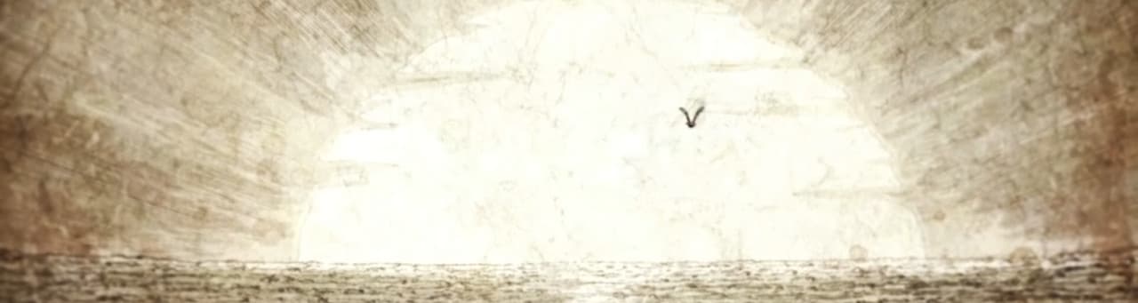 User profile banner