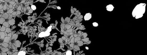 User profile banner