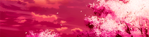 User profile banner