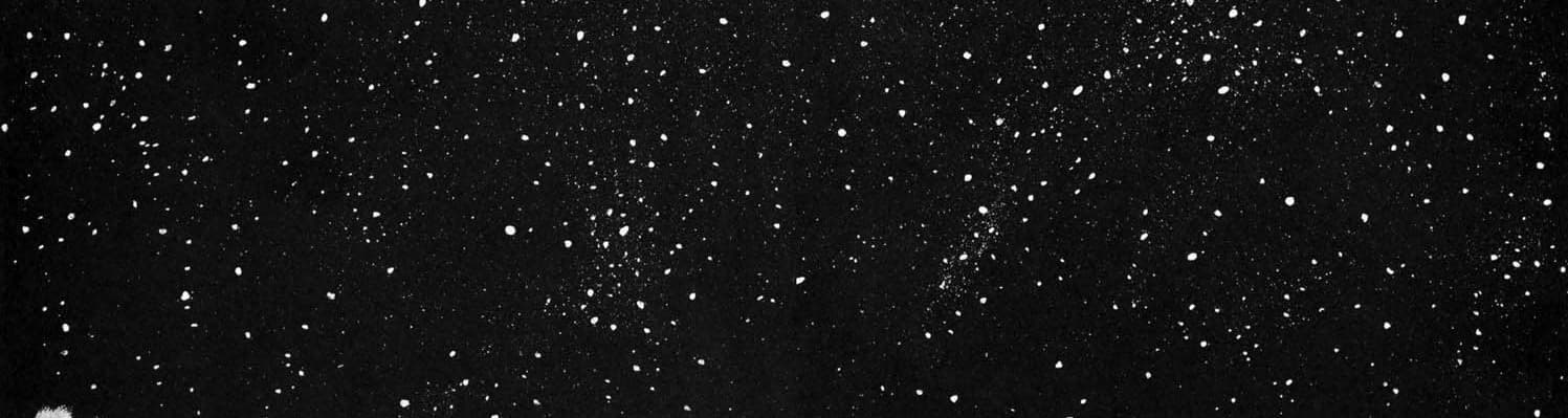 User profile banner