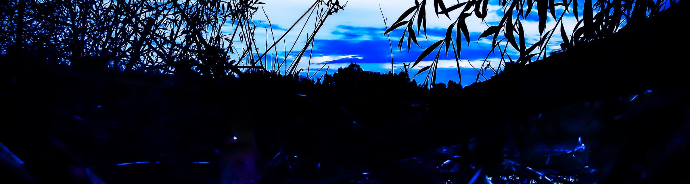 User profile banner