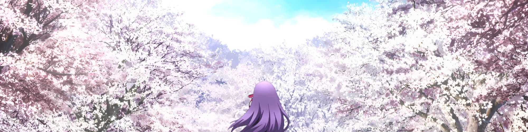 User profile banner