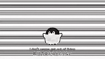 User profile banner