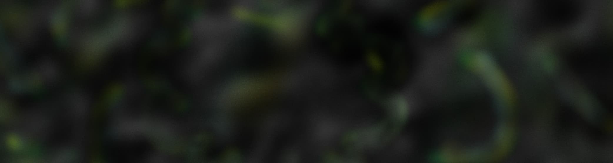 User profile banner