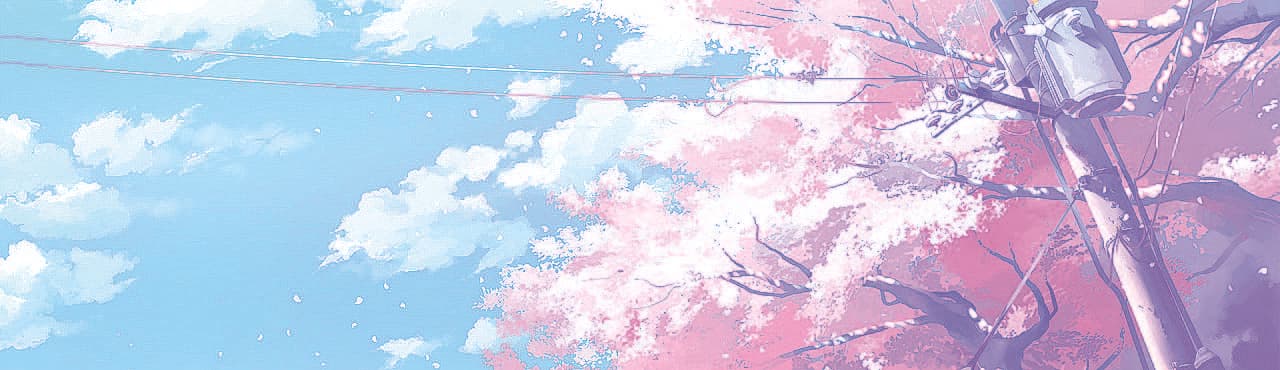 User profile banner