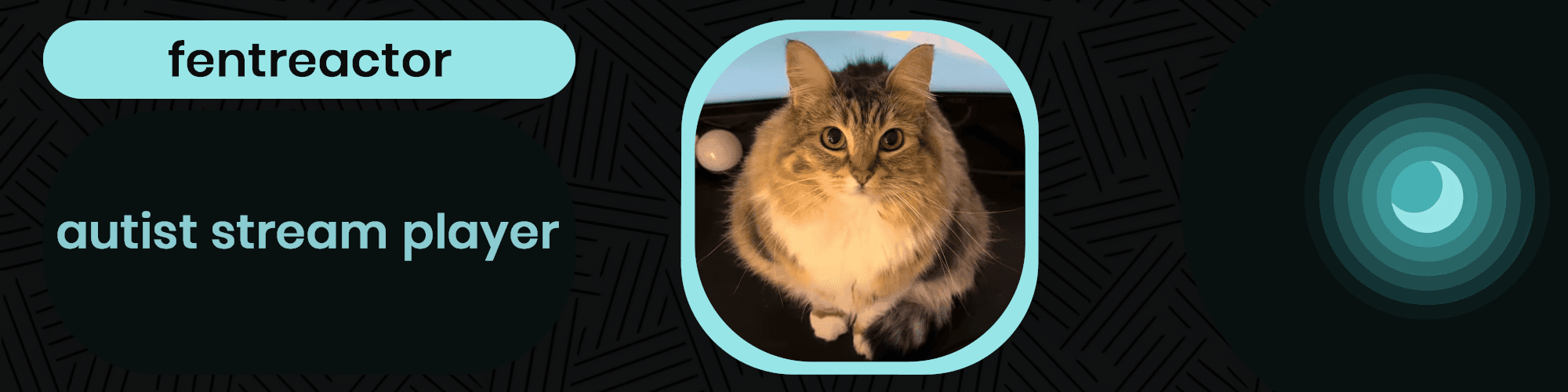 User profile banner