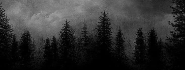 User profile banner