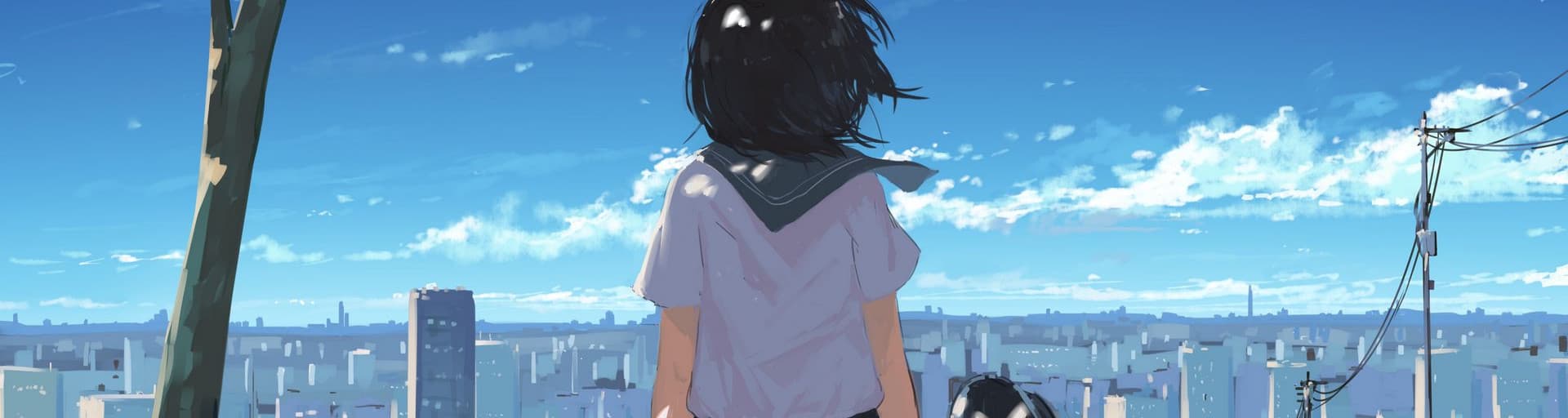 User profile banner