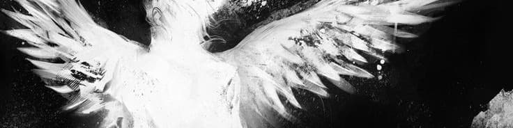 User profile banner