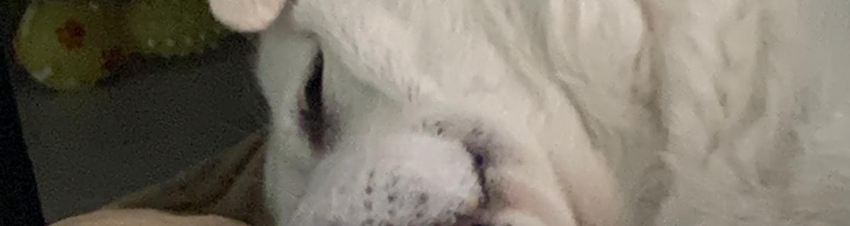 User profile banner