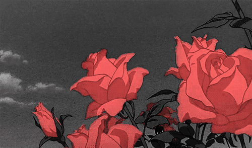User profile banner