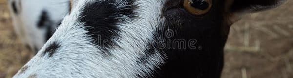 User profile banner