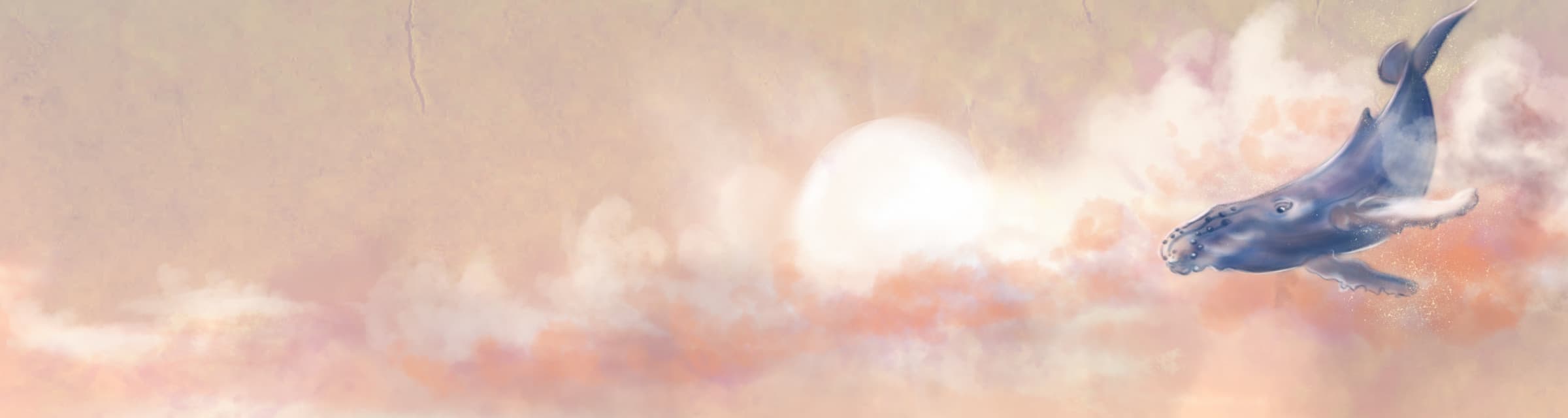 User profile banner