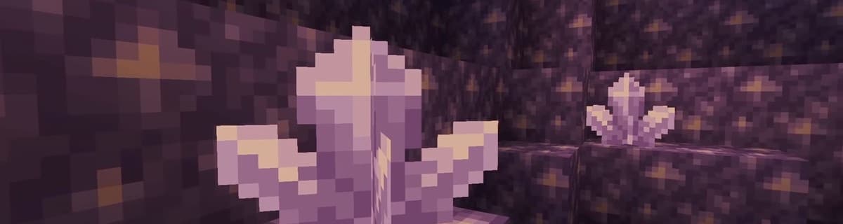 User profile banner