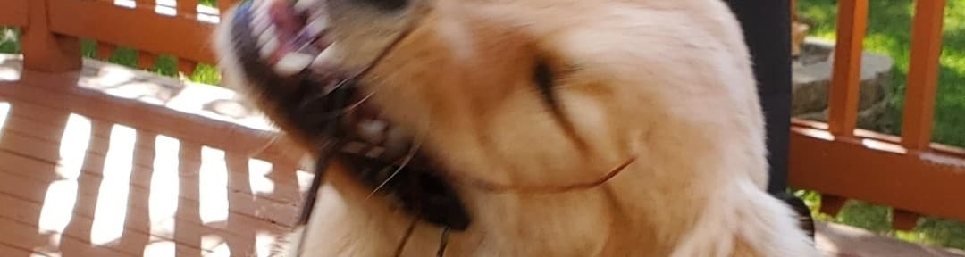 User profile banner