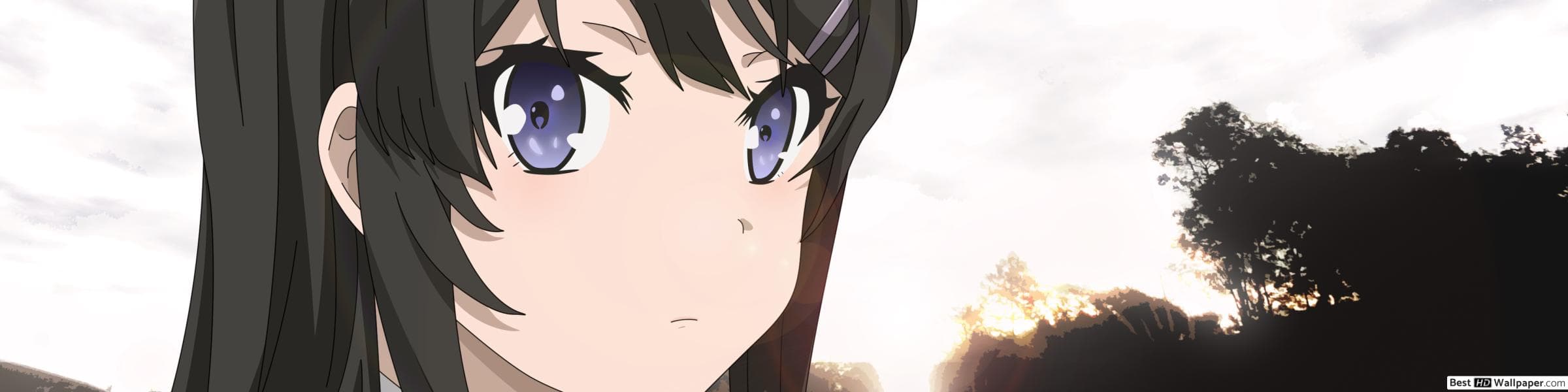 User profile banner