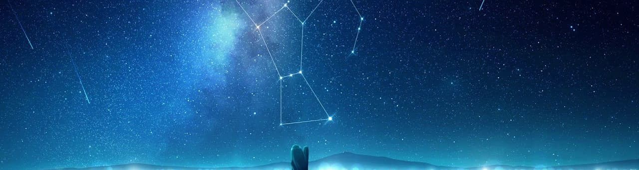 User profile banner
