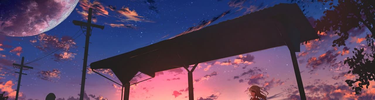 User profile banner