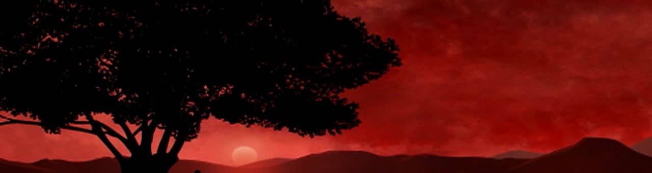 User profile banner