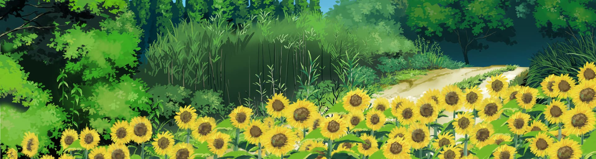 User profile banner