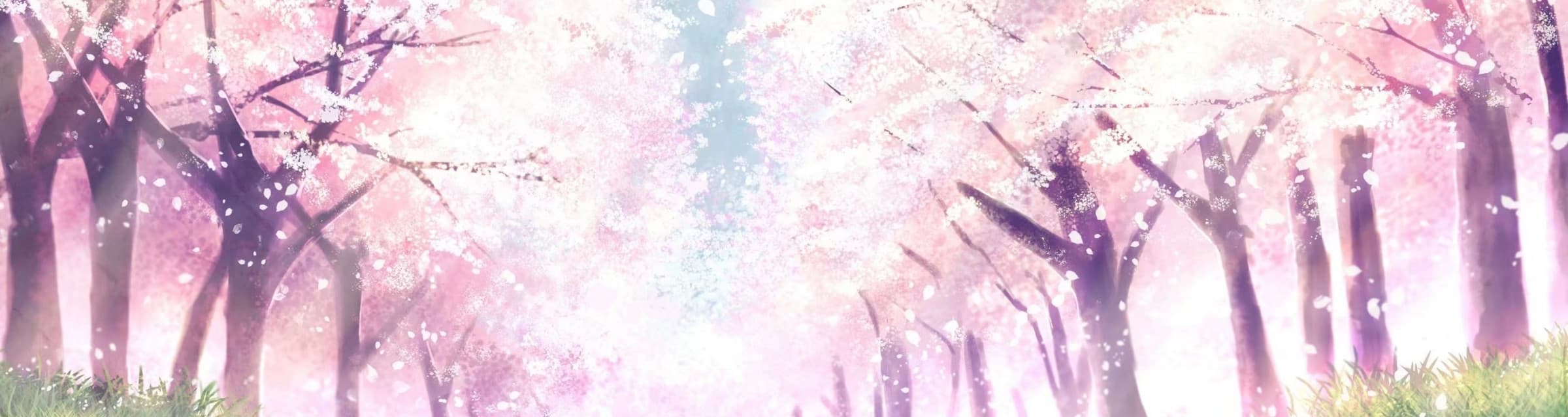User profile banner