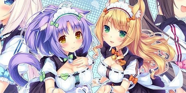 User profile banner