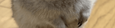 User profile banner