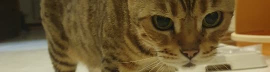 User profile banner