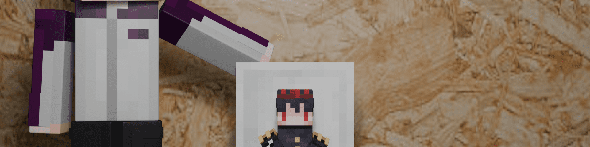User profile banner