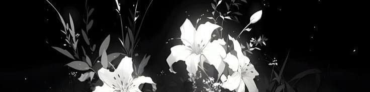 User profile banner