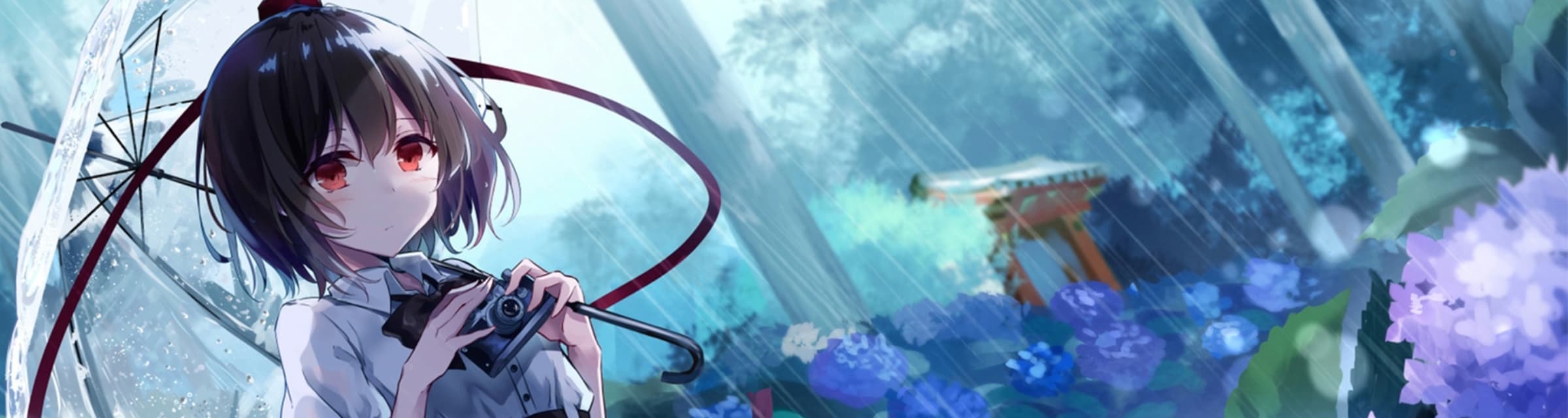 User profile banner