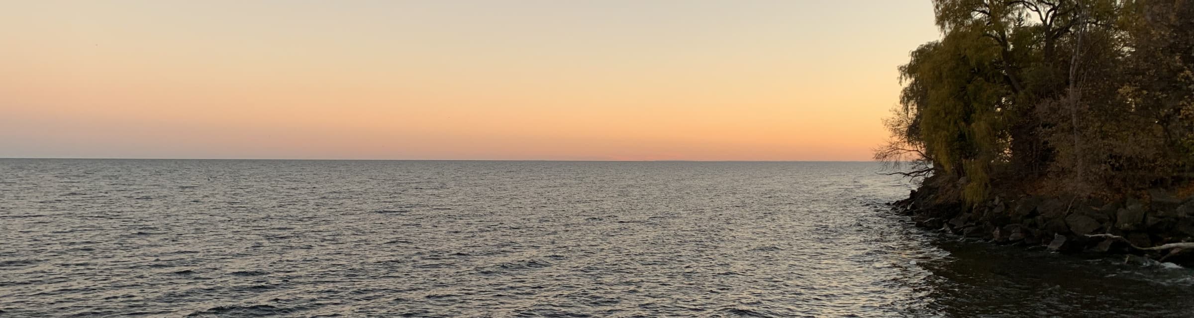 User profile banner