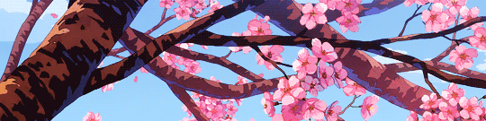 User profile banner