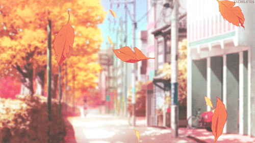 User profile banner