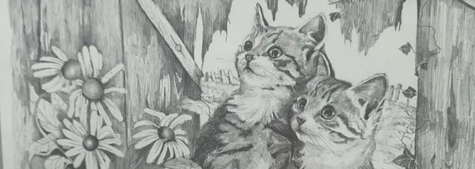 User profile banner