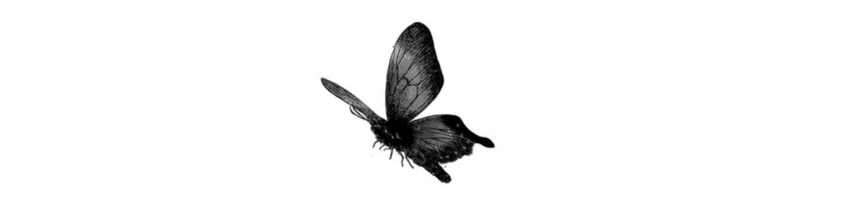 User profile banner