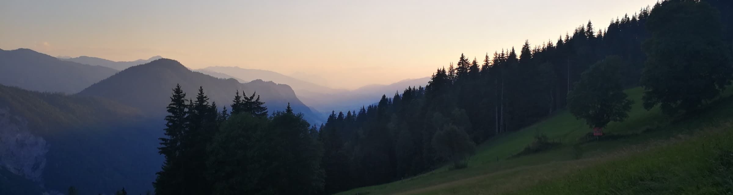 User profile banner