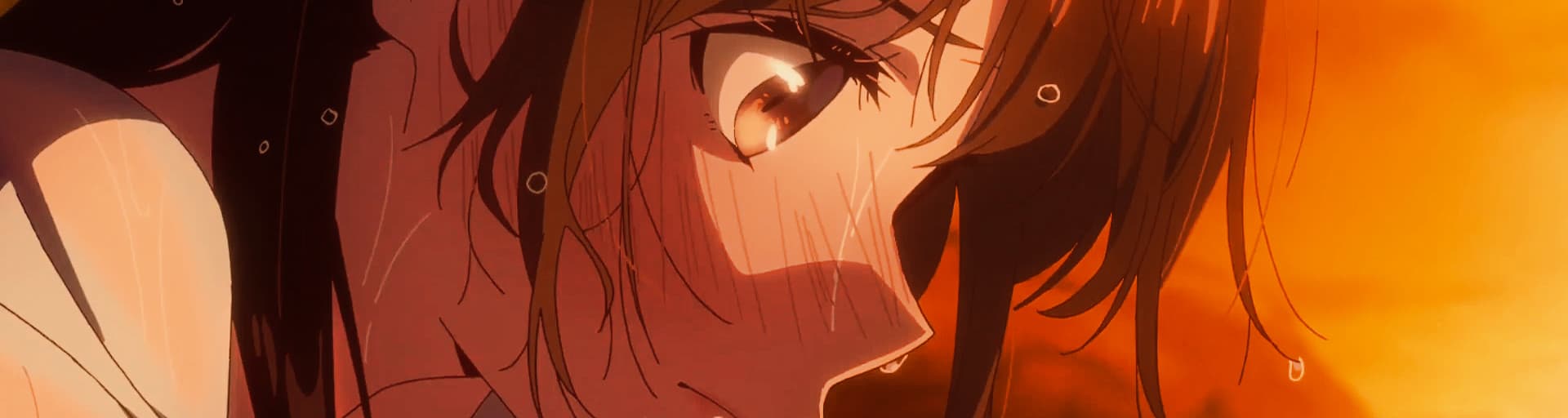 User profile banner