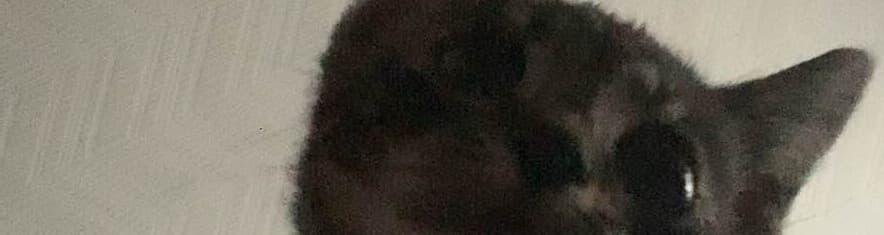 User profile banner