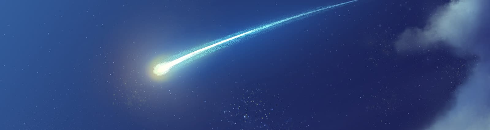 User profile banner