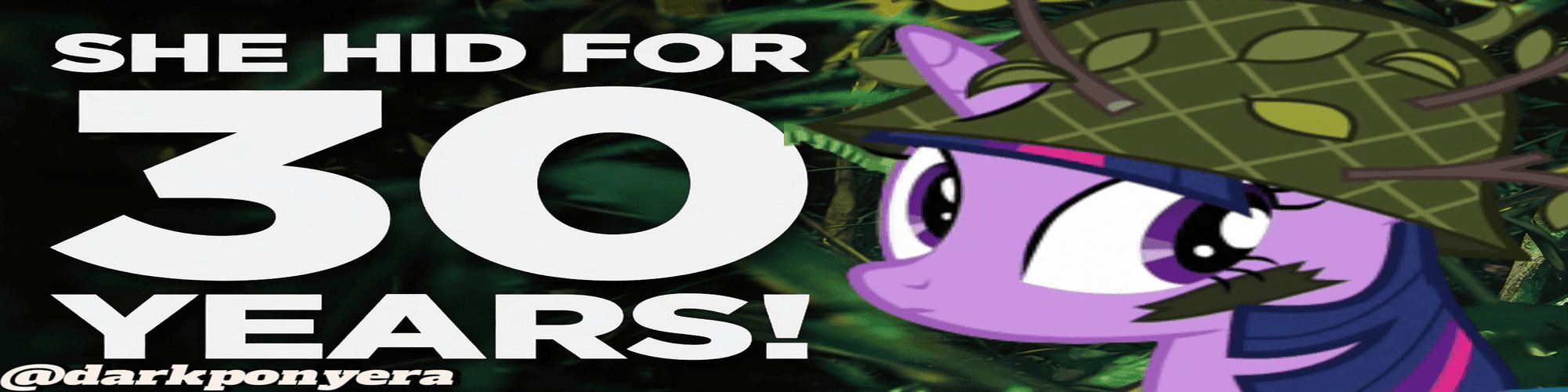 User profile banner