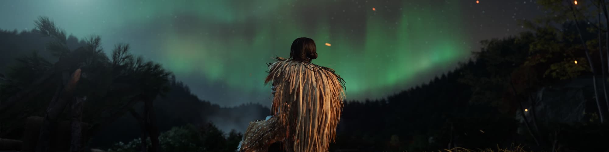 User profile banner