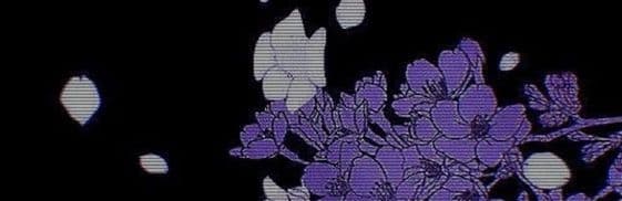 User profile banner