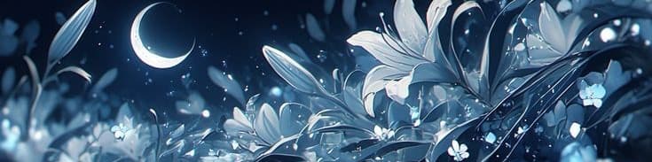 User profile banner