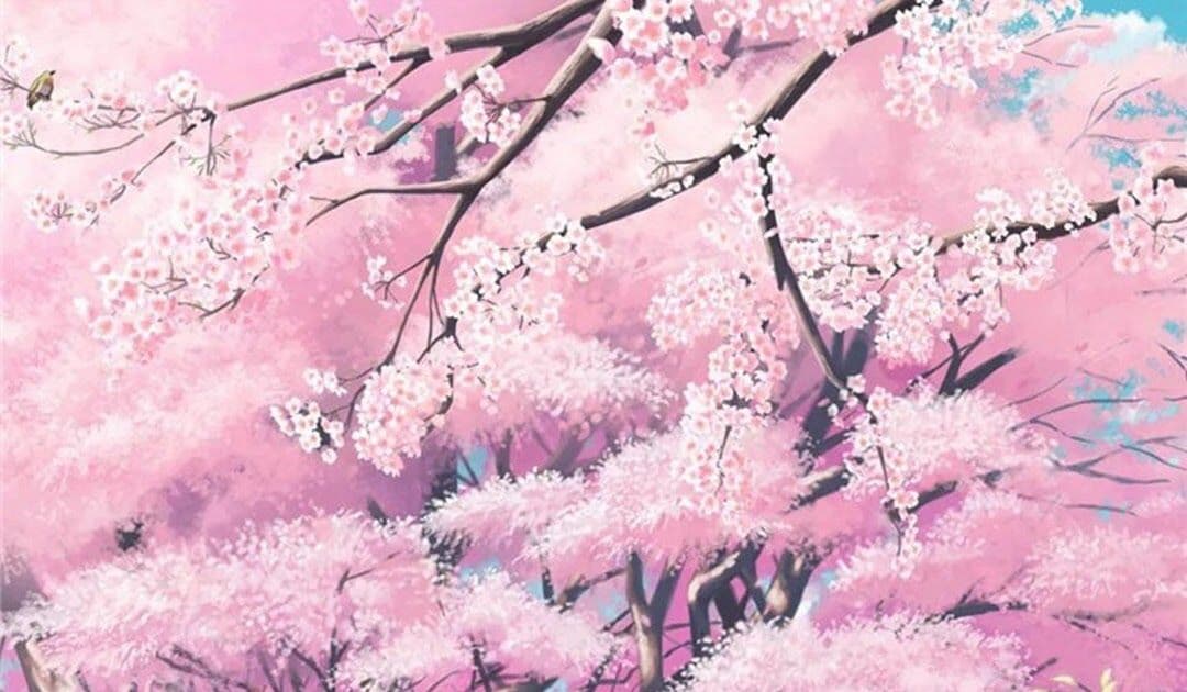 User profile banner