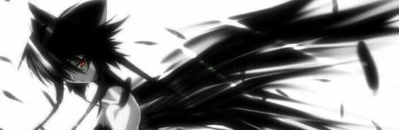 User profile banner